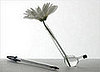 Love It or Hate It? Bic Pen Vase