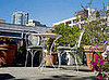 Do You Have Rooftop or Balcony Access?