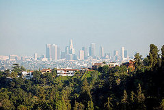 Do You Live in a Healthy Green City?