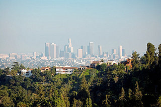 Do You Live in a Healthy Green City?