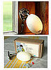 Cool Idea: Vintage French Soap Hook