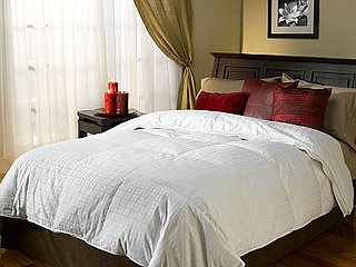 Steal of the Day:  Serta Down Comforter