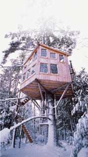 Midday Muse:  Treehouse Holiday
