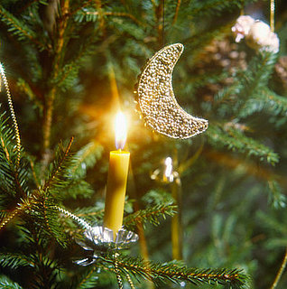 What's Your Tree Style?