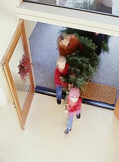 How To: Get Your Tree Home