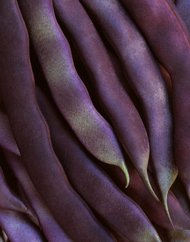 Photographer to Watch:  Ron van Dongen