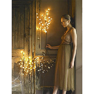Casa Craving Challenge: Party Lighting