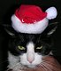 tinacami's picture