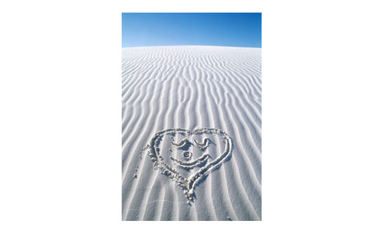 Wise Guide -- On making love