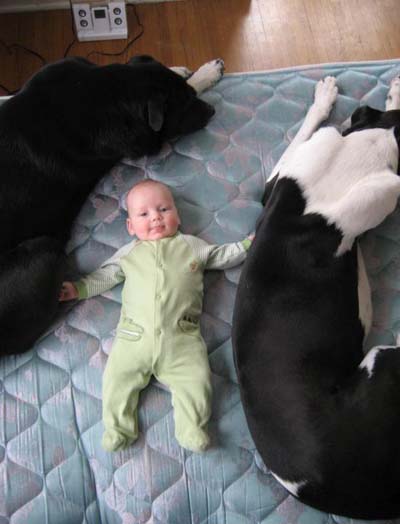 Pets of the Week!