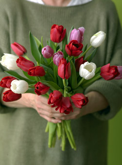 Fab Gift Guide: Unique Blooms