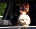 Jess is Driving Miss Daisy