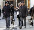 Ethan Hawke Walks His Dog
