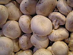 BJ's Recalls Mushrooms:  More E. Coli?