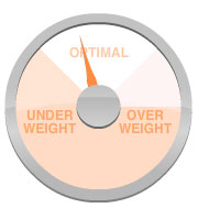 FIT Calculator: BMI