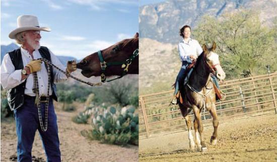 A Horse is NOT Just a Horse