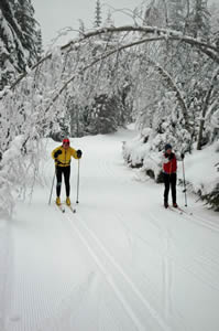 Let's Get Physical:  Cross-Country Skiing