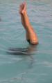 Pool Exercises