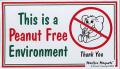 Peanut Allergies:  Progress Made
