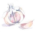 How To Cook with Garlic To Reap All Its Goodness
