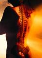 Chiropractics: Is It Healthy?