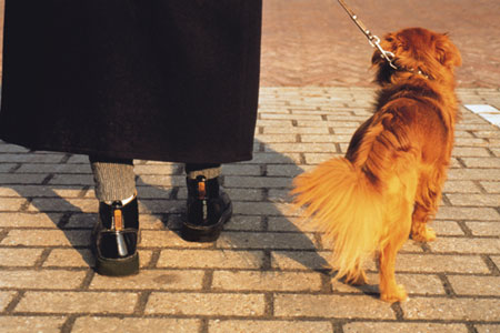 Walkies Are Good for Humans Too