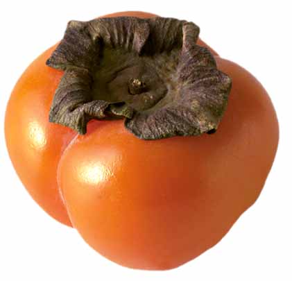 Persimmons, Who Knew?