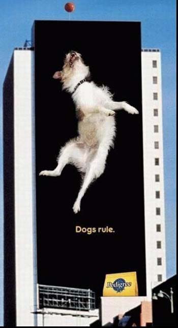 Cute Outdoor Ad!