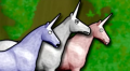 More Unicorn Fun