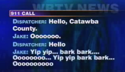 Dog Calls 911