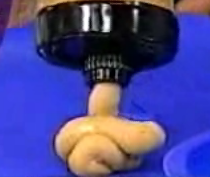 Don't Eat the Cookie Dough Don't Eat the Cookie Dough