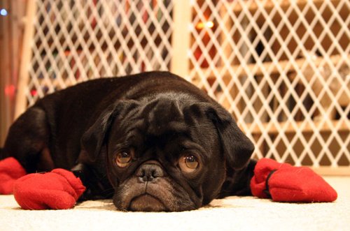 Monday Morning Blues?