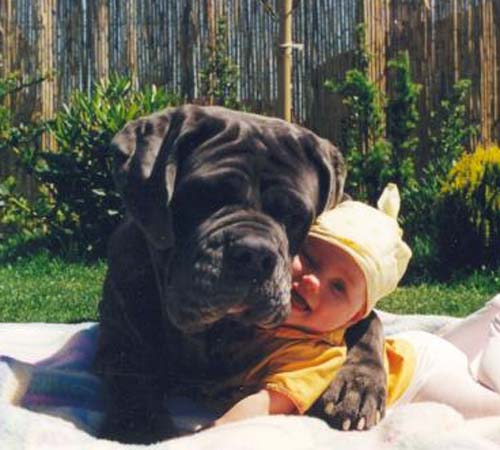 And Now, For Something Ridiculously Cute...