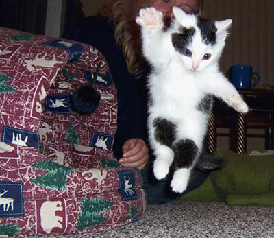 Happy Caturday!