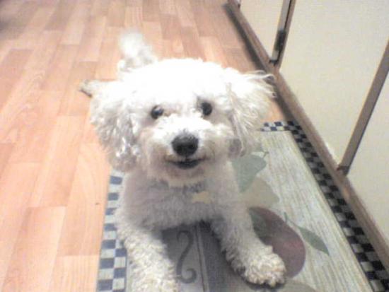 Friday's Pet of the Week!