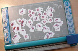 slices2 slices2