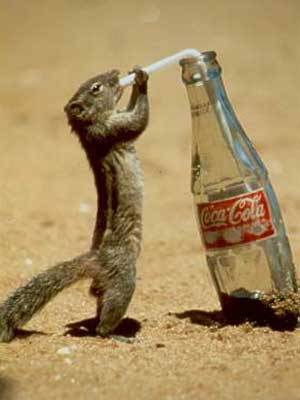 What a Coke Head!