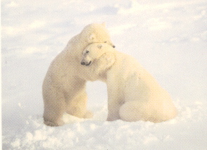 Hugs cheer me up
