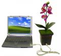 Lost And Found: Help Me Find The Wackiest USB Accessories