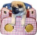 Pet Beat Generation Bag Trumps Non-Pet Bag