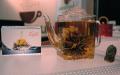 2007 Winter Fancy Food Show - Part 6 (Tea)