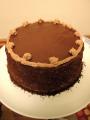 52 Weeks of Baking: Espresso Cake