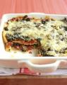 Today's Special: Mexican-Style Lasagna