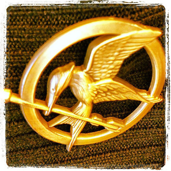 Hunger Games Instagram Mockingjay Pin Picture | POPSUGAR Tech